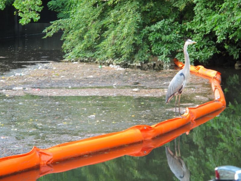 Installation of WavePlus Trash Boom for effective waterway debris containment